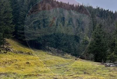 Arieșeni–Strada Fața Cristesei -Teren 4.331 mp cu Peisaj de Poveste - 11