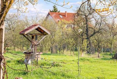 Teren frumos de 1.469 mp cu casuta: oportunitate in zona Centrala, Bodoc - 4