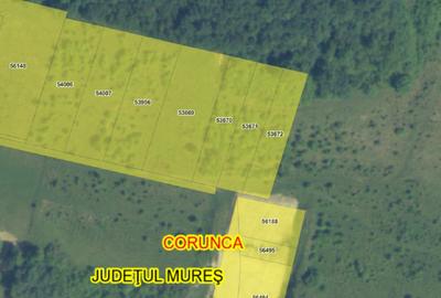 Teren intravilan Corunca – 1000 mp – vedere panoramică 180° + acces pădure – ult - 7