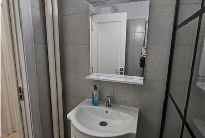 Dorobanti-Stefan cel Mare-Bloc Perla, apartament 2 camere, mobilat si utilat - 17