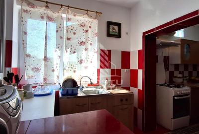 Casa de vanzare in Ineu formata din 2 cladiri - 28