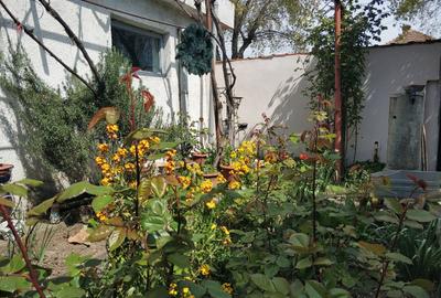 Km 4-5 - Casa renovata, situata in centrul cartierului - 14