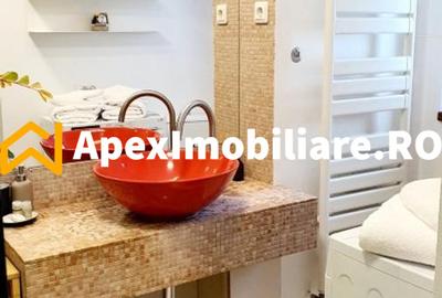 Apartament 2 camere de inchiriat Herastrau București | ApexImobiliare.ro - 14