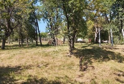 Teren intravilan 2828 mp+autorizatie casa-anexe-livada-Dorolea - 4