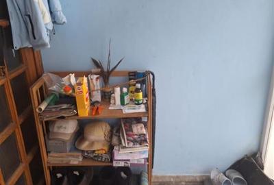 Vila S+P+1+M- Islaz, 8 camere, Suprafata teren 971 mp, Suprafata construita 410 - 15