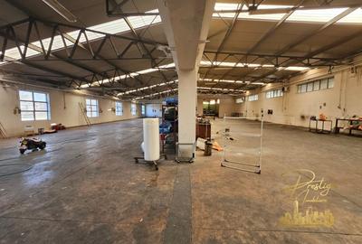 Spațiu industrial, 700 mp în Seleuș