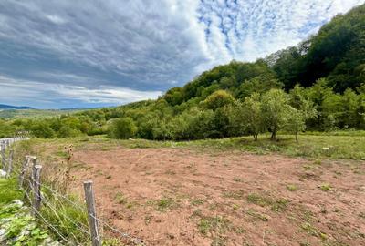 Teren 9.800 mp – Investiție ideală în mijlocul naturii | 10€/mp - Comision 0% - 2