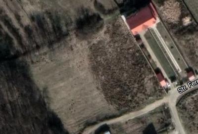 Oportunitate de Investiție - Teren de Basm in Bascov. DIRECT PROPRIETAR. - 14