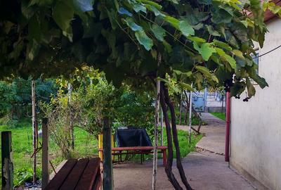 Teren vânzare zona Viile Noi - 12