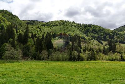 Extravilan + Intravilan | Sătic-Rucăr | Cadru natural | Turistic - 11