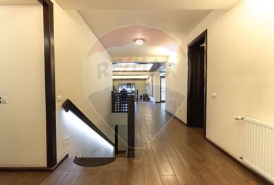 Arhitectura din Piatra si Lemn pe Malul Lacului Mogosoaia - 10