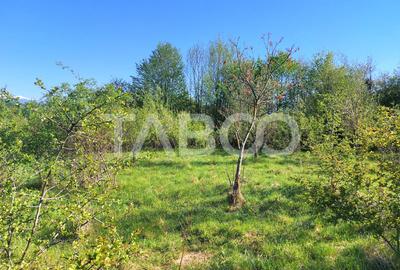 Teren intravilan 4280 mp acces la drum si utilitati zona deosebita - 7