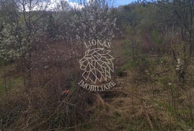 Casa P+M 3 camere 110 mp-teren 1400 mp-Zona Valea Jelnei - 15