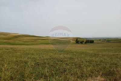 Teren parțial intravilan-300000mp Stroiești-Trei Movile, Suceava - 14