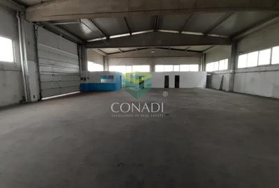 Zona DNCB Clinceni De inchiriat Hala C1 - 1