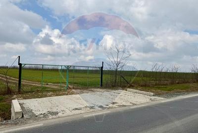 Teren extravilan Săcele ideal pentru silozuri, fermă sau investiție - 16