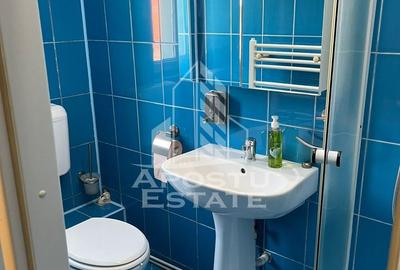 Apartament cu 1 camera de inchiriat, zona Aradului, Timisoara - 6