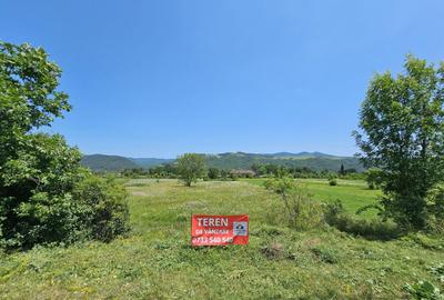 Teren de Vanzare in Darmanesti, Stradal, langa Fregata - 4