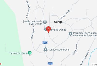 Vanzare casa si terenul aferent - 12