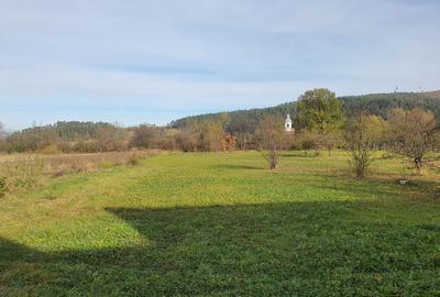 Casa de vanzare in Teliu - 12