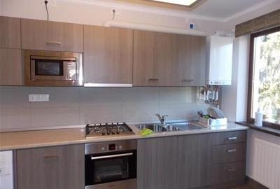 Inchiriere apartament 4 camere de LUX in Gruia- zona Rosetti - 5