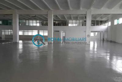 Royal Imobiliare - Inchiriere spatiu industrial Filipestii de Targ - 3