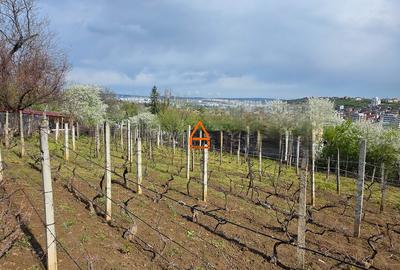 Casa - P+M - 228 mp , teren - 1024 mp - Bucium - 5