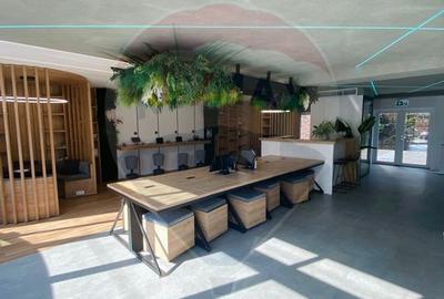 Spatiu comercial/birouri de inchiriat - Strada Petofi Sandor - 2
