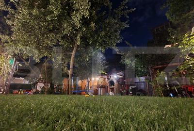 Casă individuală versatilă, 210 mp, ideală locuire, investiție- zona Grivitei - 14
