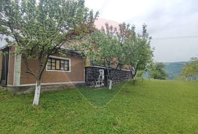De vanzare casă cu teren 1,17ha la munte, Munteni, Bulz, spre Hiltop - 14