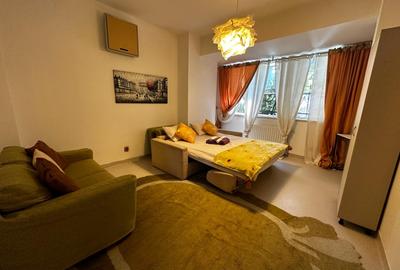 Vila individuala Victoriei pretabil birouri clinica restaurant rezidenta - 9