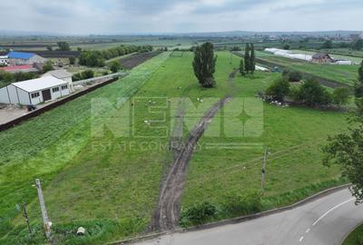 Teren 2648 mp | Strada Francei | Ideal hale sau investitie - 6