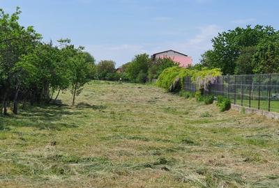 Teren intravilan - 1.671 mp, Timisoara, Legumiculturii 6 (Cal. Urseni / Brytim) - 5