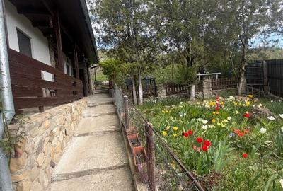 Vand casa de vacanta la 27 km de Buzau - 6