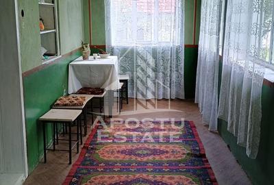 Casa batraneasca de vanzare, 4 camere, in Hunedoara, sat Micanesti - 16