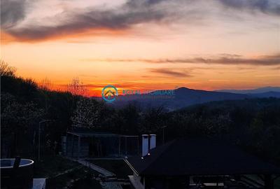 Royal Imobiliare -vanzare vila/ casa de vacanta zona CAMPINA - 22