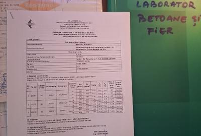 Afacere la cheie casa, vila, zona Therme,Aeroport - 10