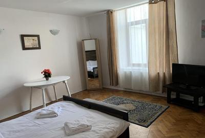 Apartament 2 camere strada Castelului, etaj 1, 2 bai, mobilat, utilat! - 2