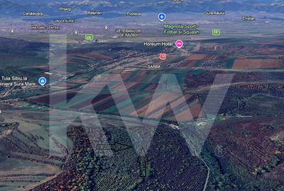 Teren Extravilan de vânzare, Hamba (Sibiu), 38.400 mp (3,84 ha), Pret competitiv - 6