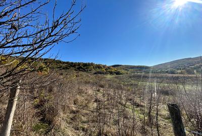 Teren Construcții intravilan de 700 mp, în Florești