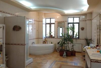 Casa impresionanta de vanzare Cotroceni, teren 680 mp, renovata, garaj dublu - 11