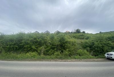 Teren intravilan Valea Seaca 1.000mp front 30ml la principala - 1