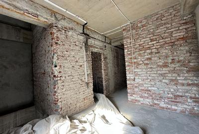 FERDINAND - Lirei | Teren 412 mp| Cladire 750 mp | structura noua - 19