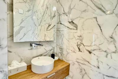 Penthouse  4 camere Padurea Baneasa - Jandarmeriei- Regimentului - 6