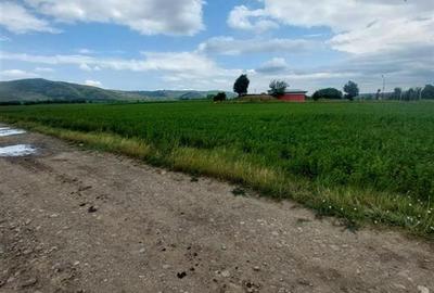 Teren intravilan de vanzare in Tg Trotus - 5
