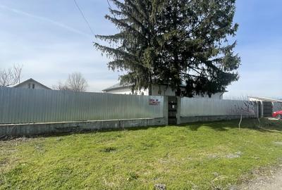Mitreni-Valea Rosie-Acasa la Tara -4 camere-178 mp-LOT  1000 mp+Casa secundara - 46