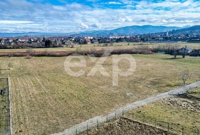 Teren 3.120 mp cu potențial de dezvoltare – Săcele | Posibilitate PUZ - 15