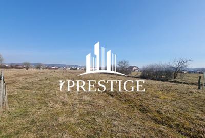TEREN DE VÂNZARE 1000 MP ȘELIMBĂR ZONA TROIȚĂ | INVESTIȚIE - 9