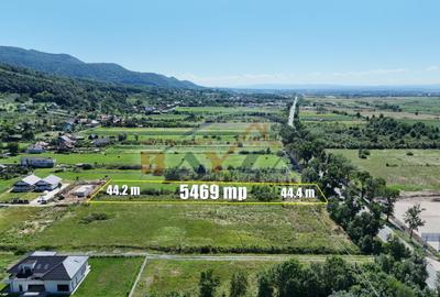 Teren intravilan - 5.469 mp, cu deschidere 44.4 m la DN1C - Cicârlău, Maramu - 5