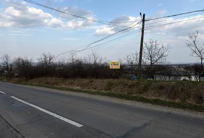 Teren intravilan in Cucorani la asfalt, 807mp, 24ml la asfalt si 33ml la drum se - 2